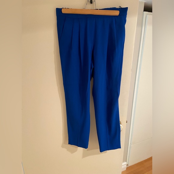 T. Babaton - blue trousers. Aritzia. Womens. Size 6. - Picture 1 of 3